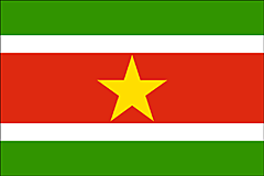 Bandiera Suriname .gif - Grande