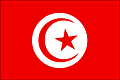 Bandera Túnez .gif - Media