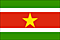Bandiera Suriname .gif - Piccola