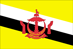 Bandiera Brunei .gif - Grande