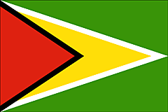 Bandiera Guyana .gif - Grande