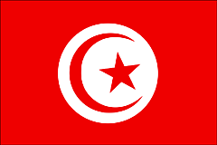 Bandera Túnez .gif - Grande