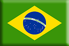 Bandiera Brasile .gif - Grande e rialzata
