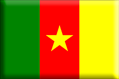 Bandiera Camerun .gif - Grande e rialzata