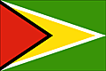 Bandiera Guyana .gif - Media