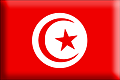 Bandiera Tunisia .gif - Media e rialzata