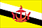 Bandera Brunei .gif - Pequeña