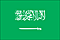 Bandiera Arabia Saudita .gif - Piccola