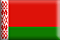 Bandiera Bielorussia .gif - Piccola e rialzata