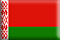 flags_of_Belarus.gif