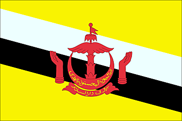 Bandiera Brunei .gif - Molto Grande
