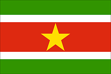 Bandera Surinam .gif - Extra Grande