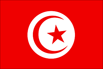 Bandiera Tunisia .gif - Molto Grande